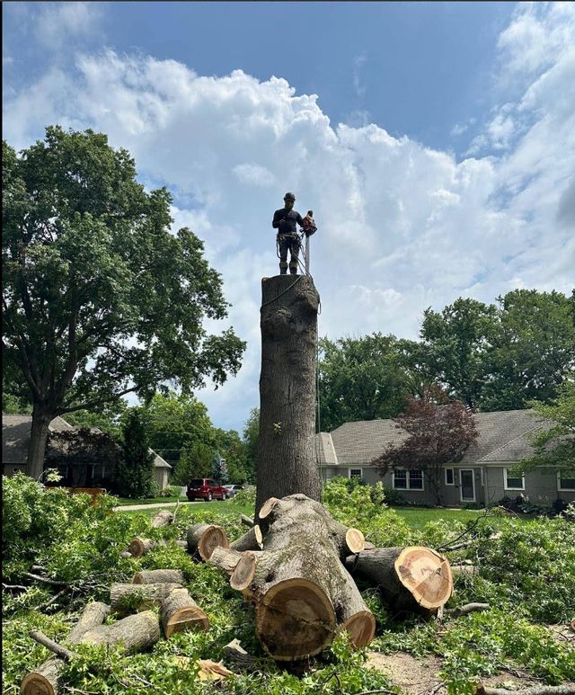 Tree Removal & Trimming Kansas City | Free Estimate — Crist Tree Services